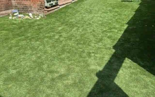 Baby & Toddler Garden5